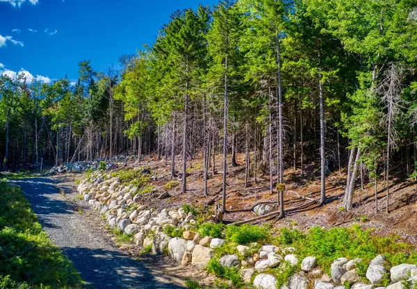 Lake Placid, NY 12946,Lot 21 Lambs WAY