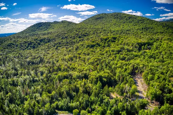 Lake Placid, NY 12946,Lot 19 Lambs WAY