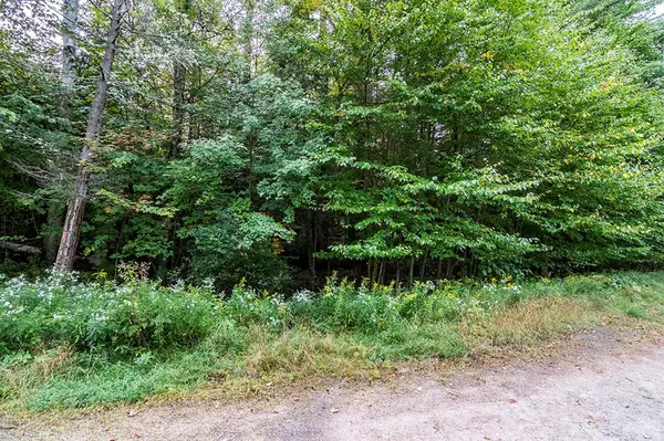 Saranac Lake, NY 12983,0 Saranac LN