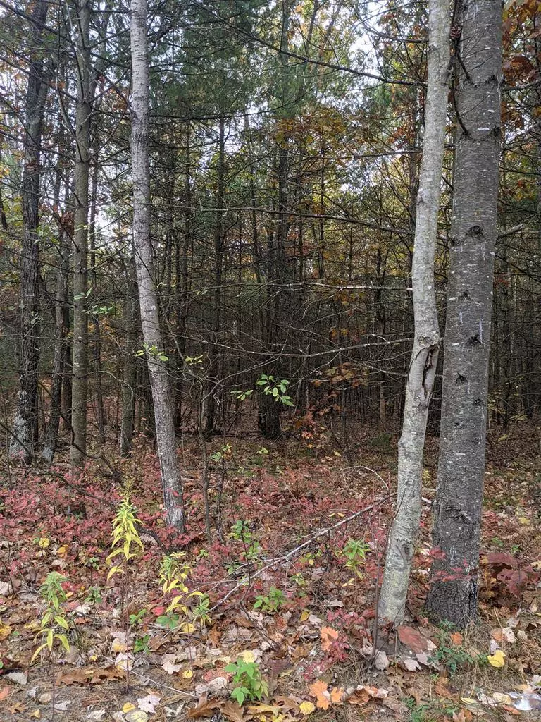 Peru, NY 12972,0 Plains RD