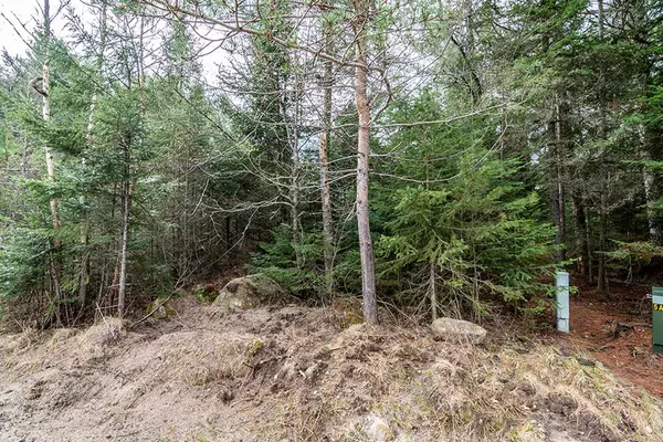 Lake Placid, NY 12946,0 Blueberry Ridge RD