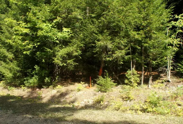 Lewis, NY 12950,Lot 2 Hemlock LN