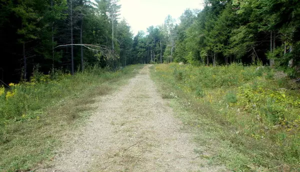 Lewis, NY 12950,Lot 2 Hemlock LN