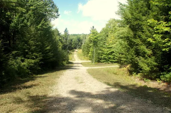 Lewis, NY 12950,Lot 3 Hemlock LN