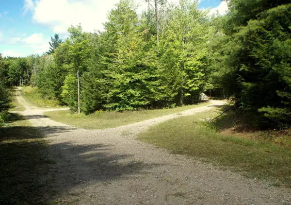Lewis, NY 12950,Lot 6 Hemlock LN