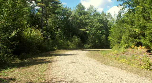 Lewis, NY 12950,Lot 7 Hemlock LN