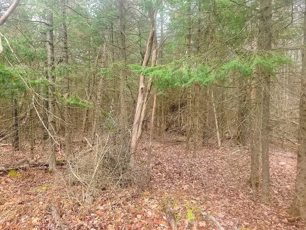 Saranac, NY 12981,0 Silver Lake RD