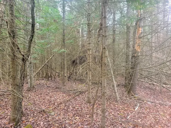 Saranac, NY 12981,0 Silver Lake RD