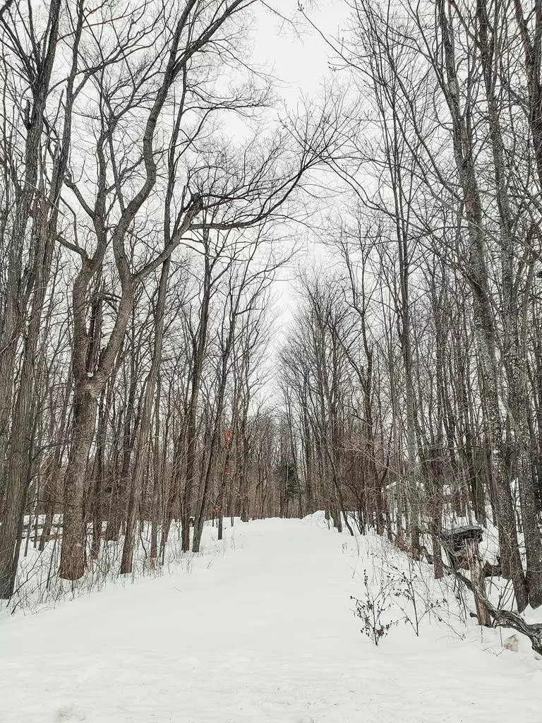 Peru, NY 12972,0 Patent RD