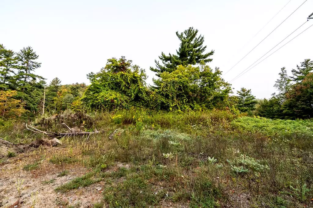 Saranac Lake, NY 12983,0 Ledge LN