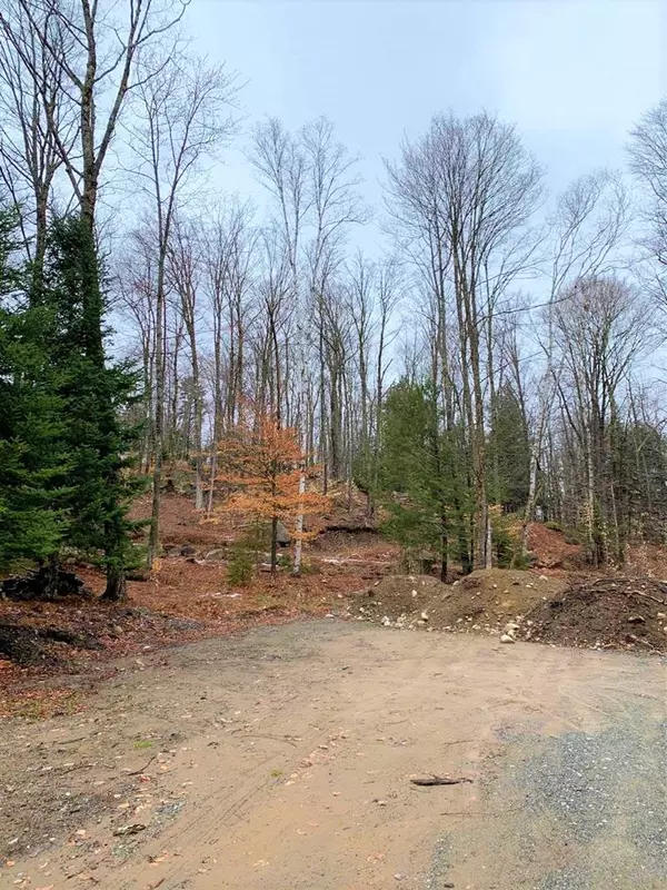 47/46 Hawk Ridge Subdivision, Saranac Lake, NY 12983