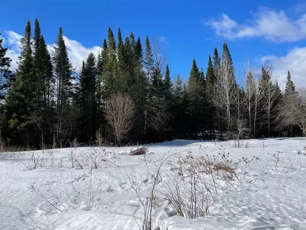 Lyon Mountain, NY 12952,41 Wolf Pond RD