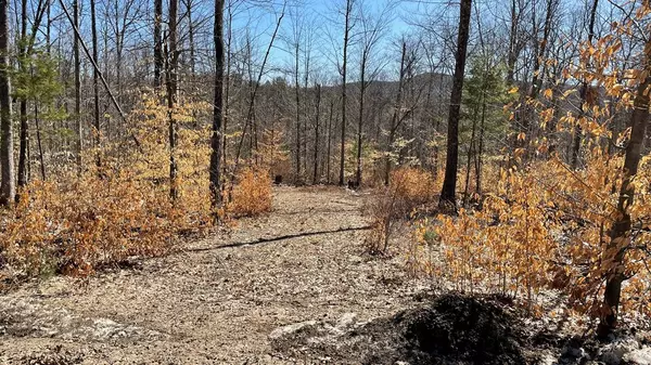 Peru, NY 12972,170 Cold Spring RD