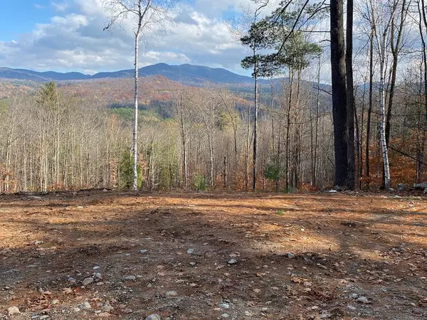 Keene, NY 12942,Lot 5 Bell Meadow WAY