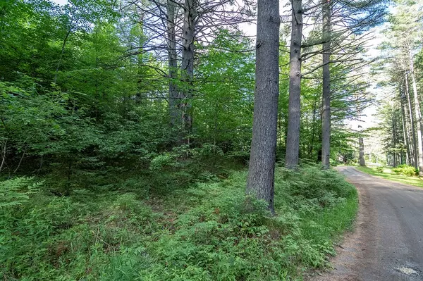 Saranac Lake, NY 12983,0 McKenzie Pond RD