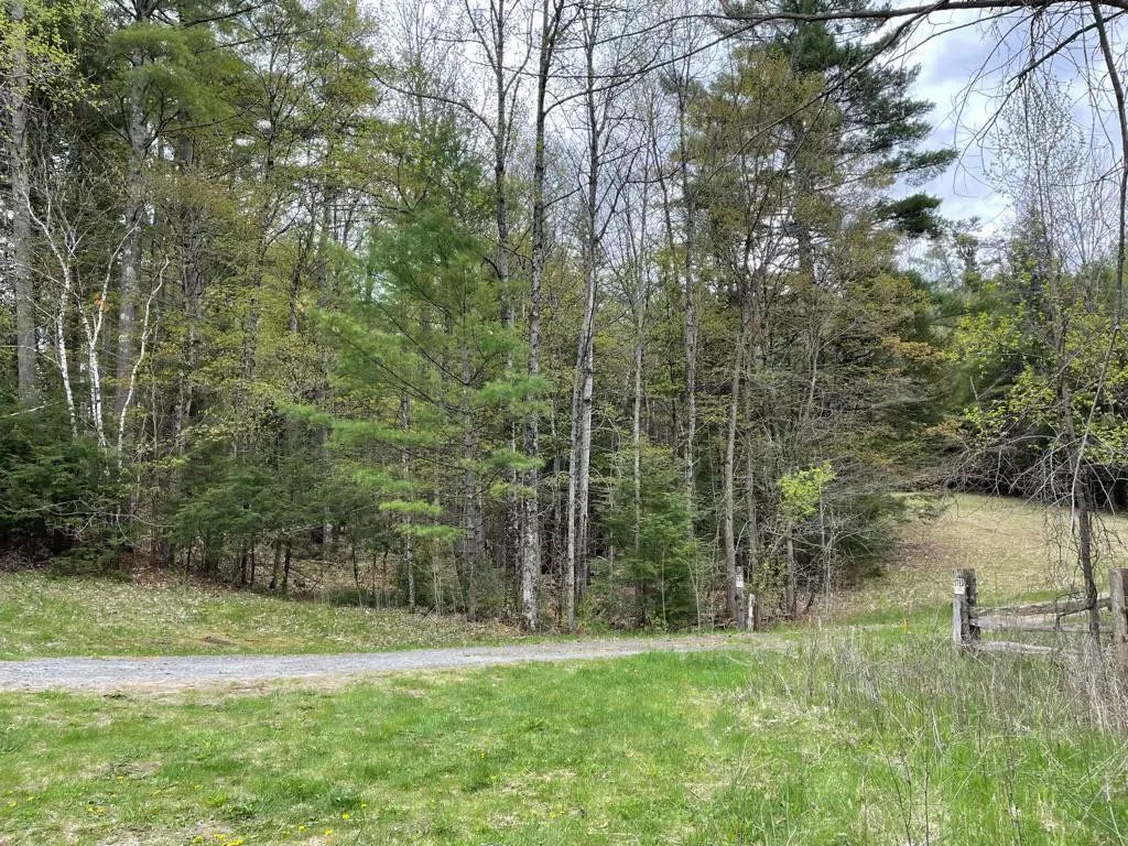 Elizabethtown, NY 12932,5509 Lincoln Pond Rd. (Lot 1)