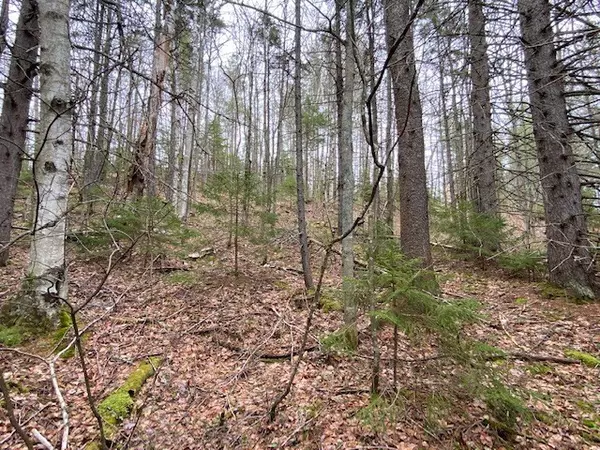 Loon Lake, NY 12989,0 Bass Lake Road & 28