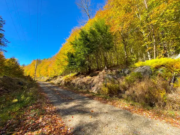 Old Forge, NY 13420,52-1-13 Route 28