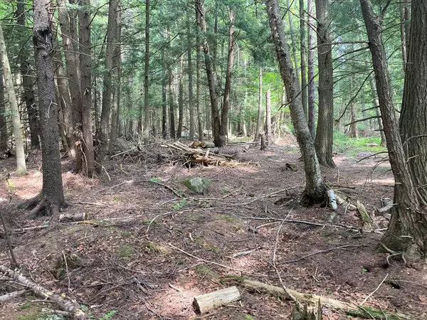 Saranac Lake, NY 12983,11 Juniper LN