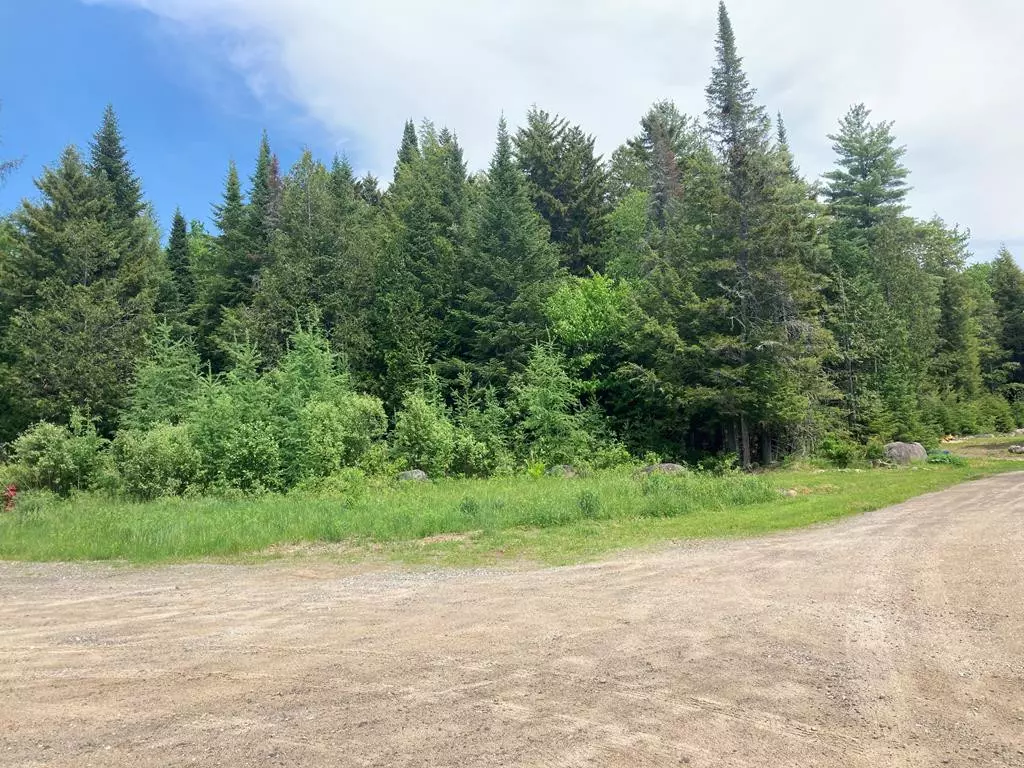 Saranac Lake, NY 12983,11 Juniper LN