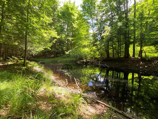 Saranac Lake, NY 12983,96 Charles ST