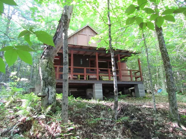 358 Petrie RD, Old Forge, NY 13420