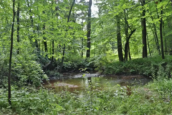 Peru, NY 12972,35 Conners RD