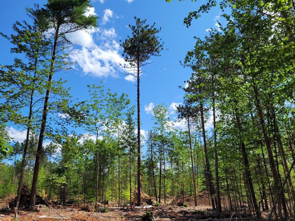 Lot 2 NYS Rt 86, Wilmington, NY 12997