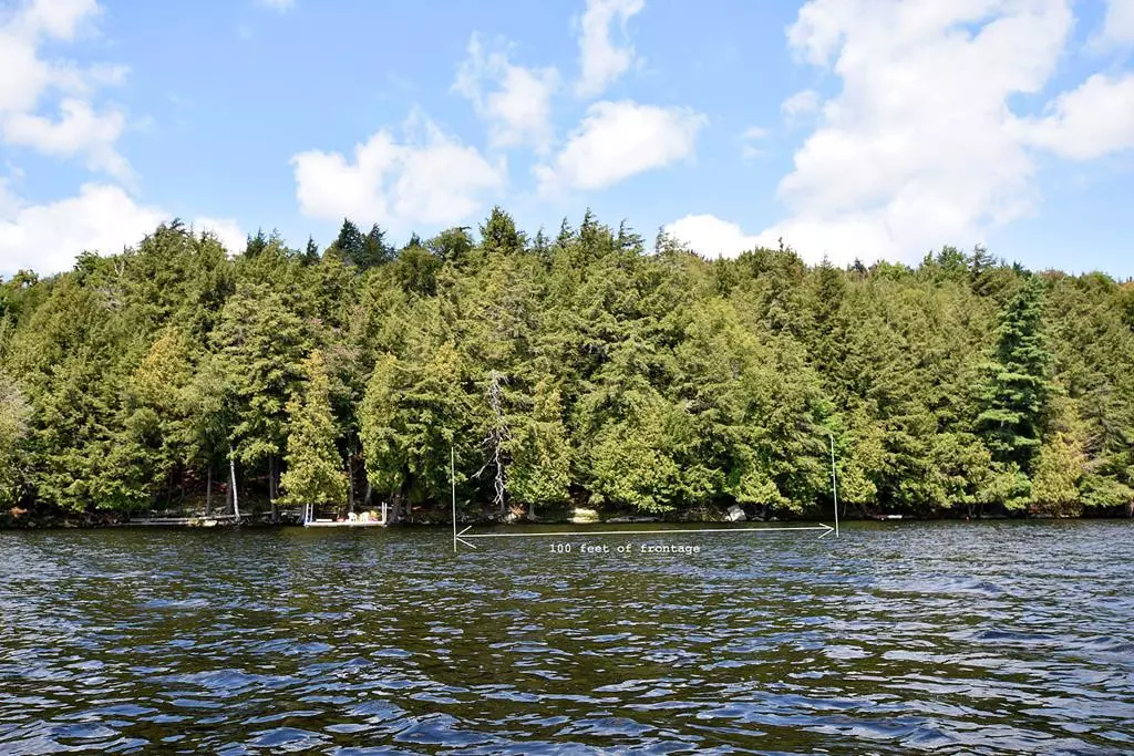 Raquette Lake, NY 13436,2432 Woods PT