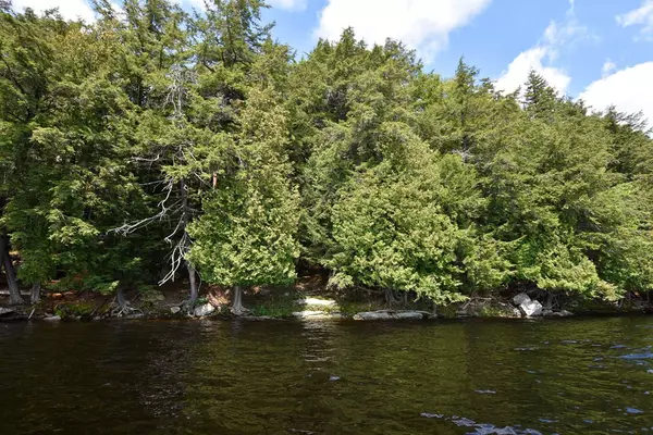 Raquette Lake, NY 13436,2432 Woods PT