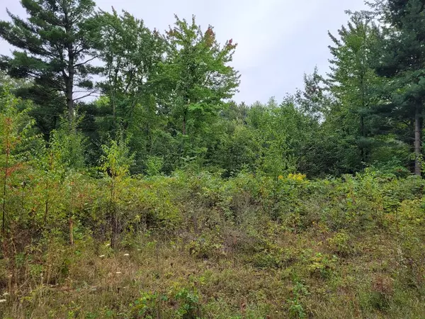 0 Military TPKE, Altona, NY 12910