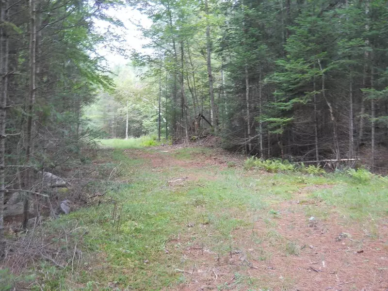 0 NYS RT. 28N & 30, Long Lake, NY 12847