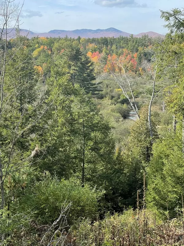 Lewis, NY 12950,225 Redmond RD