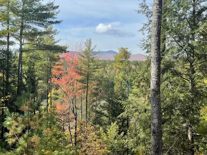 225 Redmond RD, Lewis, NY 12950