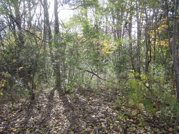 Plattsburgh, NY 12901,0 Benny Blake RD