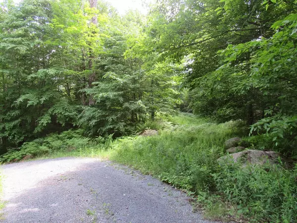 Thendara, NY 13472,0 State Route 28