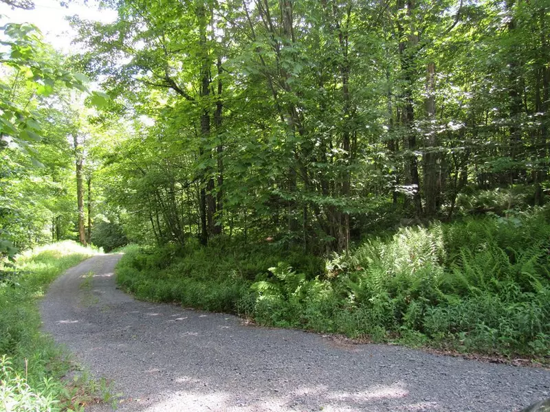 0 State Route 28, Thendara, NY 13472