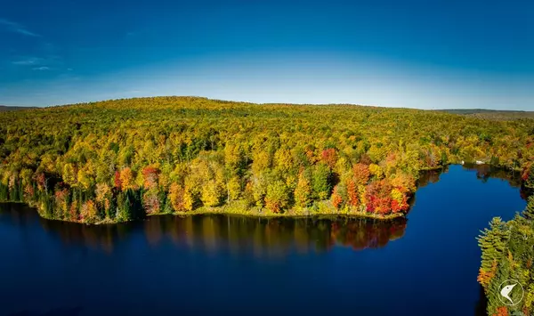 Brandon, NY 12966,42 Twin Ponds Preserve