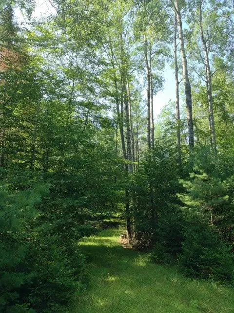 Saranac Lake, NY 12983,109 TADDS WAY