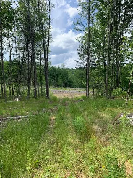 Lot # 4 Rt 26 county Route, Loon Lake, NY 12989