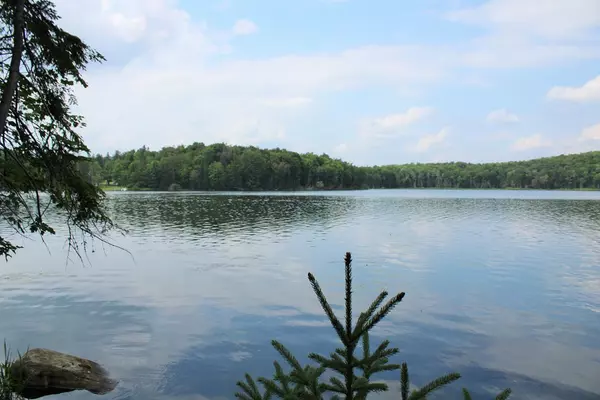 Indian Lake, NY 12842,140 Scotts RUN