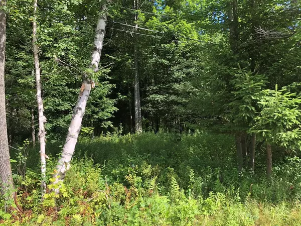 Lot 1.13 NYS Route 30, Indian Lake, NY 12842