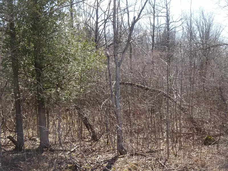 . County Route 4, Fort Covington, NY 12937