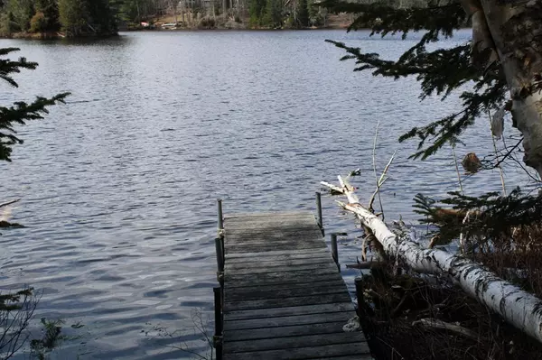 Indian Lake, NY 12842,102 Myrtle LN