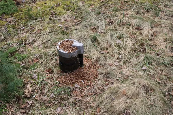 Indian Lake, NY 12842,102 Myrtle LN