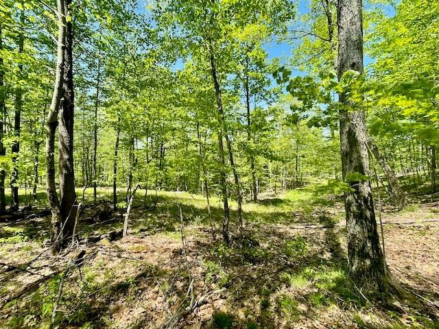 Upper Jay, NY 12987,0 NYS Route 9N