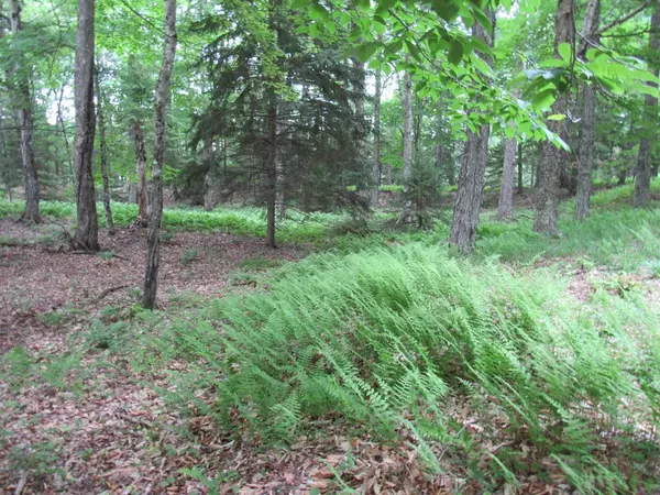 Old Forge, NY 13420,0000 Tamarack DR