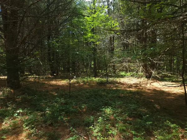 Peru, NY 12972,0 John Boswell RD