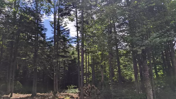 Lake Placid, NY 12946,45 Winnies Drive (Lot 15)
