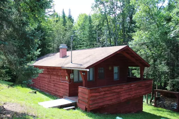 Indian Lake, NY 12842,121 O'Brien LN